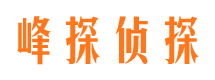 临渭捉小三公司